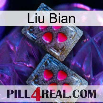 Liu Bian 14